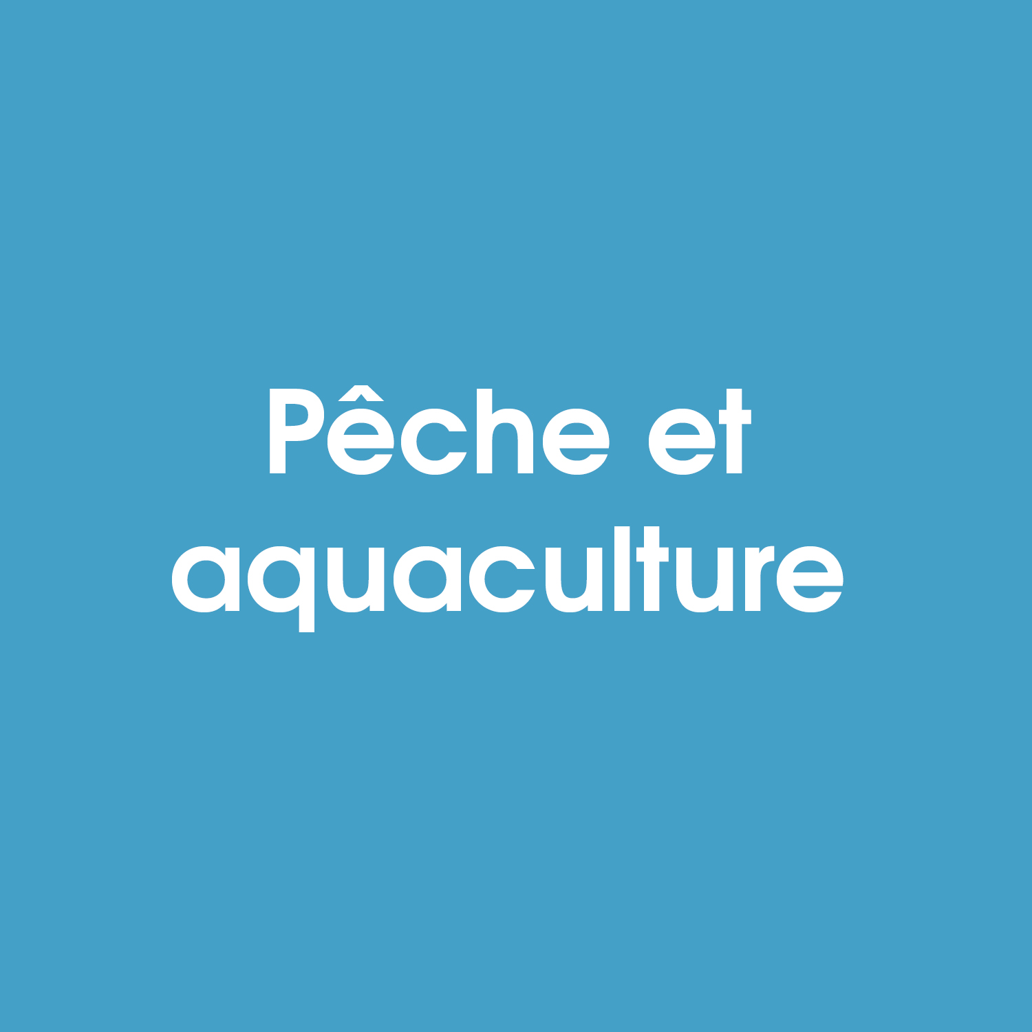 Retrouver les projets soutenus par Europe en Nouvelle-Aquitaine en pêche et aquaculture