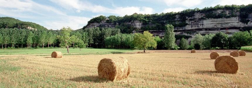 © Bonnaud Guillaume