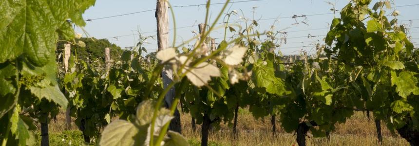 © Berthillier Guillaume