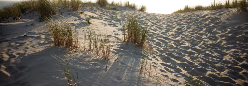 Plage baignée de lumière - AAP Aménagement durable des plages