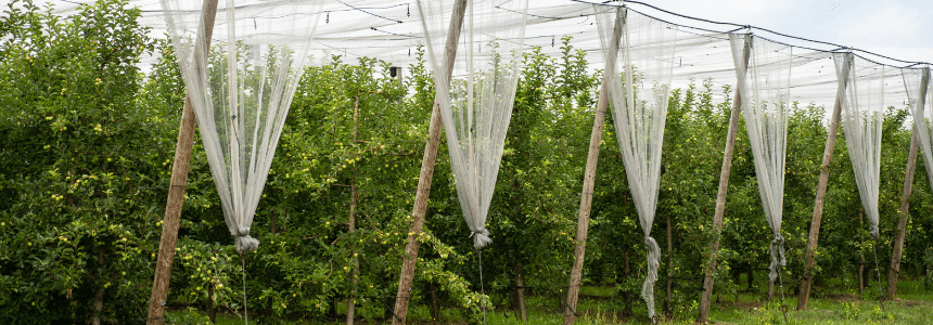 © Région Nouvelle-Aquitaine Sébastien Le Clézio