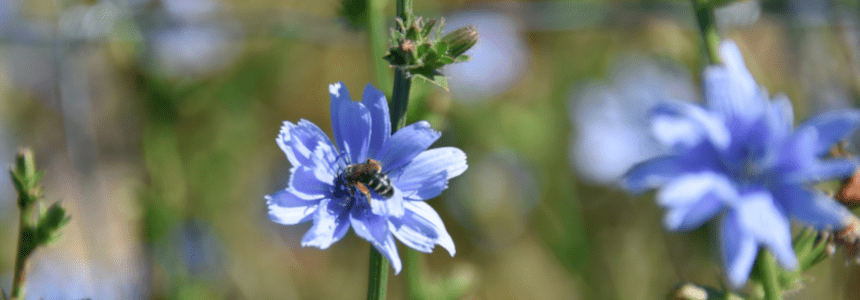 © Région Nouvelle-Aquitaine_Françoise Roch