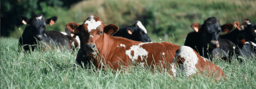 © Région Nouvelle-Aquitaine Françoise Roch