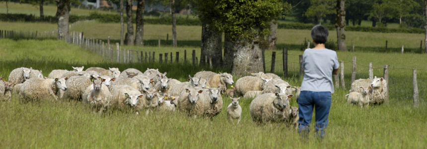© Région Poitou-Charentes/Françoise Roch