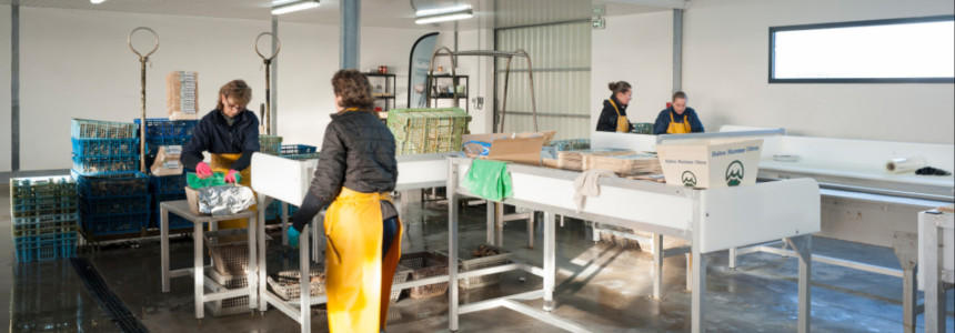 © Région Nouvelle-Aquitaine-Olivier Panier des Touches © Région Nouvelle-Aquitaine-Olivier Panier des Touches