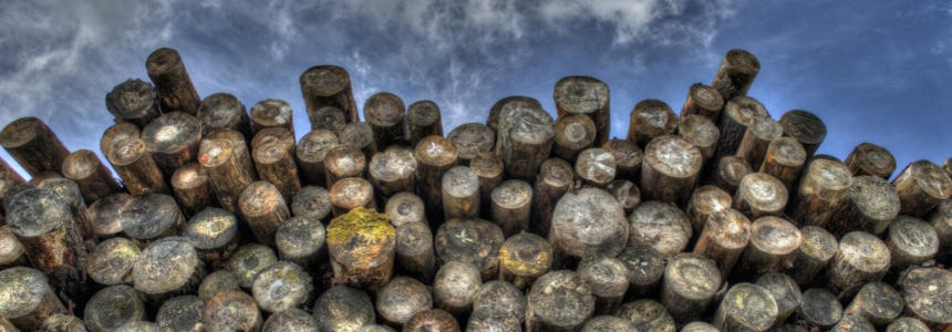 © Rudy and Peter Skitterians de Pixabay