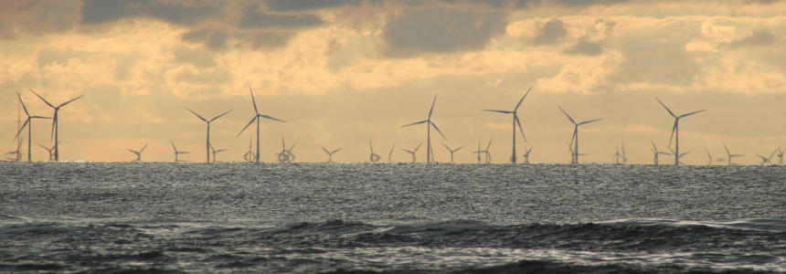 © David Will de Pixabay