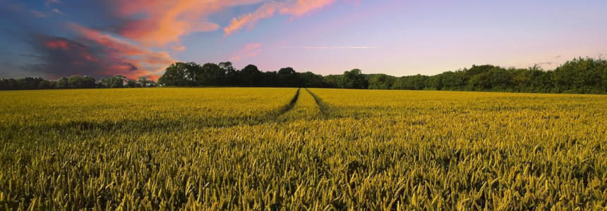 © Pete Linforth Pixabay