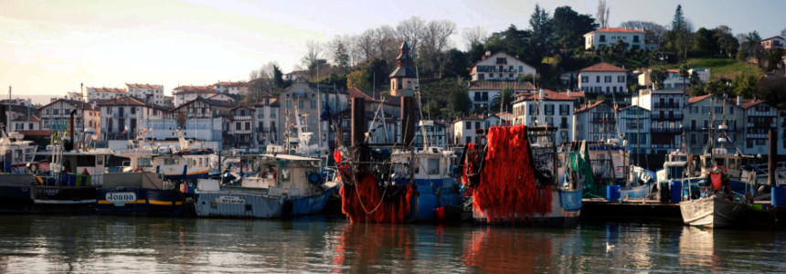© Région Nouvelle-Aquitaine-Olivier Panier des Touches © Région Nouvelle-Aquitaine-Olivier Panier des Touches