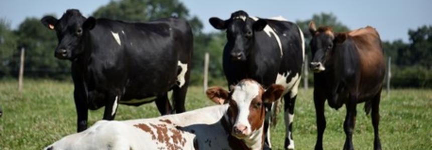 © Région Nouvelle-Aquitaine_Françoise Roch