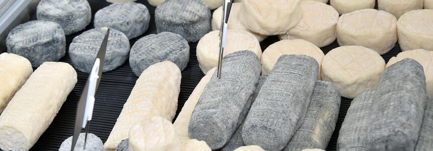 Région Nouvelle-Aquitaine_Francoise Roch