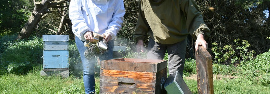 Région Nouvelle-Aquitaine_Francoise Roch
