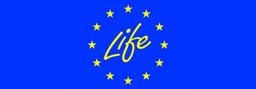 © Union européenne