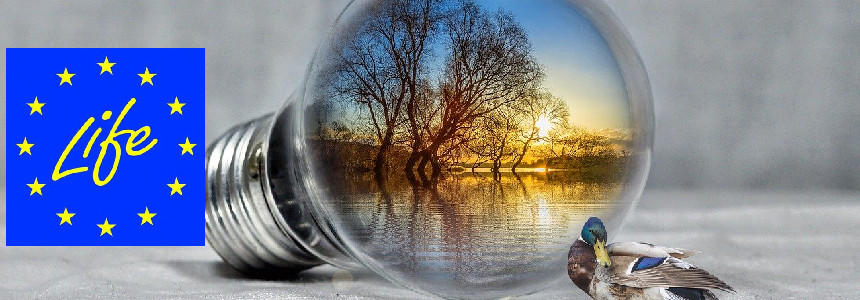 © PIRO4D de Pixabay/Commission européenne