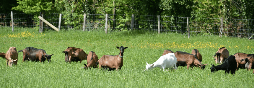 © Région Nouvelle-Aquitaine_Francoise Roch
