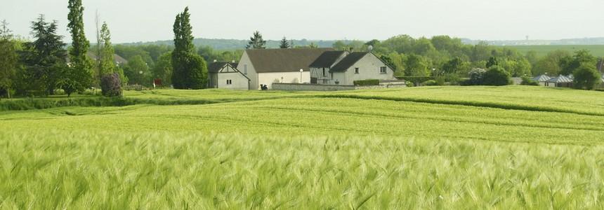 © UE-Silvia Sevilla