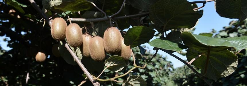 © UE/Sakis Mitrolidis