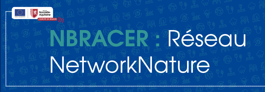 La participation du projet NBRACER au réseau Network Nature