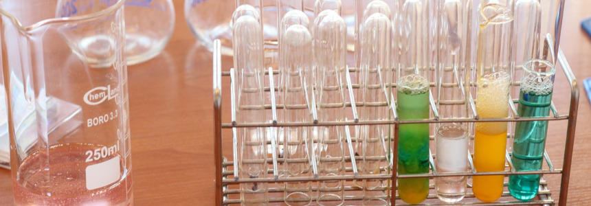 © bdyczewski Pixabay