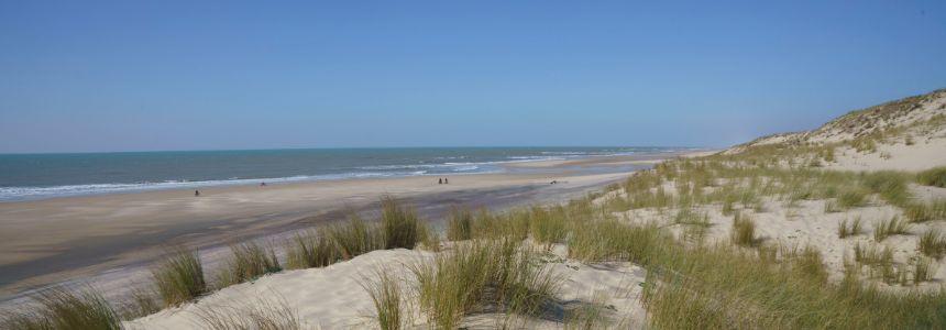 © Région Nouvelle-Aquitaine © Sébastien Blanquet-Riviere