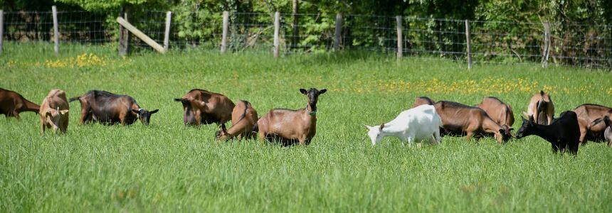 © Région Nouvelle-Aquitaine_Francoise Roch