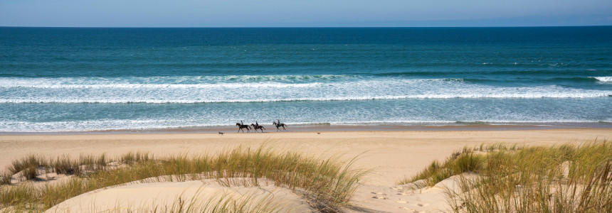 © Sébastien Blanquet-Riviere