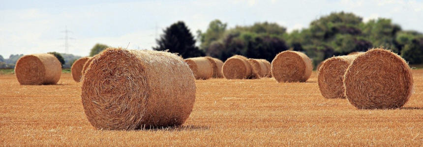 ©S.Hermann_F.Richter_Pixabay