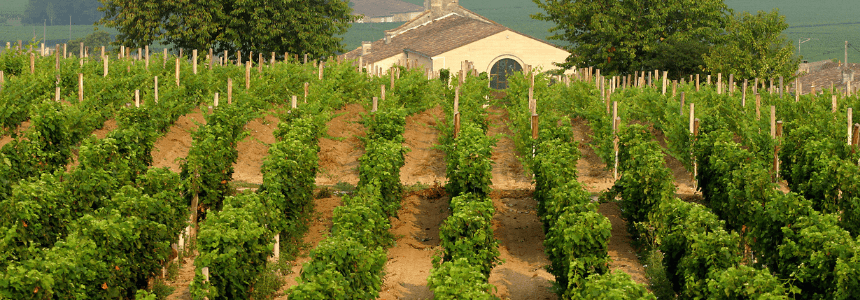 ©Laurent_Reiz-CRTNA