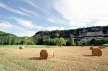 © Bonnaud Guillaume