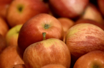 © Région Nouvelle-Aquitaine_Francoise Roch