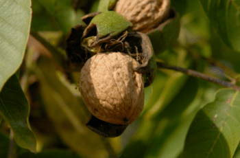 © Région Nouvelle-Aquitaine_Francoise Roch
