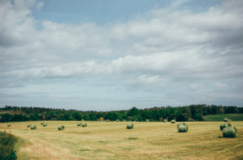 © Région Nouvelle-Aquitaine Sébastien Le Clézio
