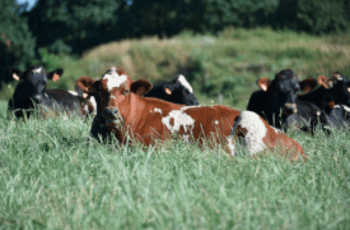 © Région Nouvelle-Aquitaine Françoise Roch