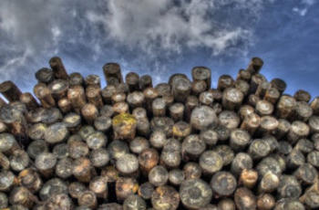 © Rudy and Peter Skitterians de Pixabay