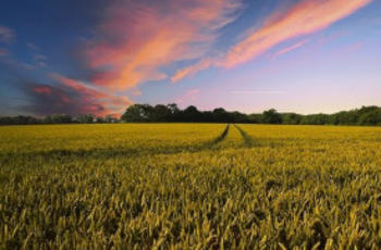 © Pete Linforth Pixabay