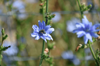 © Région Nouvelle-Aquitaine_Françoise Roch