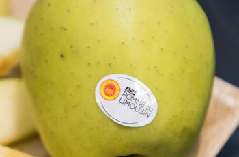 © ADELAP - Région Nouvelle-Aquitaine