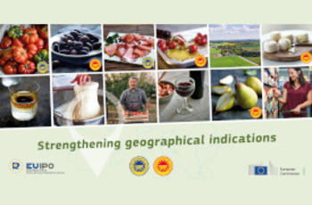 © Commission européenne