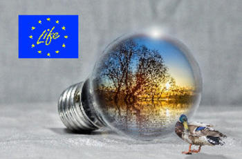 © PIRO4D de Pixabay/Commission européenne