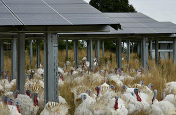 © Région Nouvelle-Aquitaine