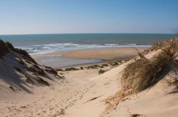© Région Nouvelle-Aquitaine © Sébastien Blanquet-Riviere