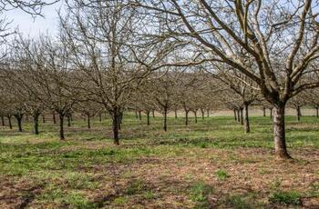 © Région Nouvelle-Aquitaine - Sabine Delcour