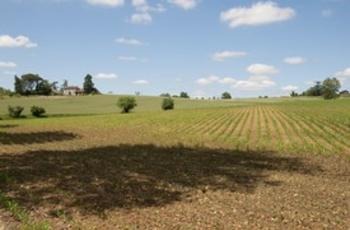 © Berthillier Guillaume