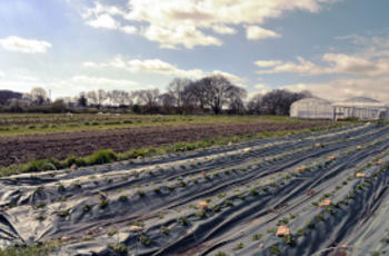 © Région Nouvelle-Aquitaine/Francoise Roch