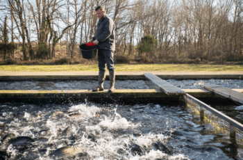 © Région Nouvelle-Aquitaine Joël Peyrou