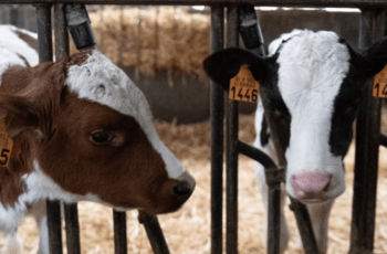 © Lukasz Kobus_Commission européenne