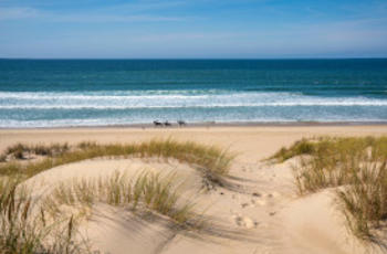 © Sébastien Blanquet-Riviere