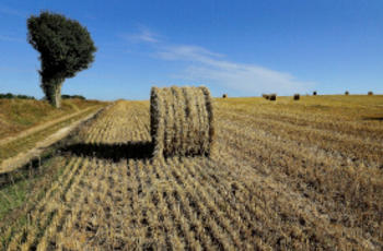 © EC Audiovisual Service - Patrick Leclercq