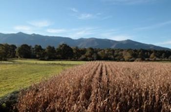 © Bonnaud Guillaume