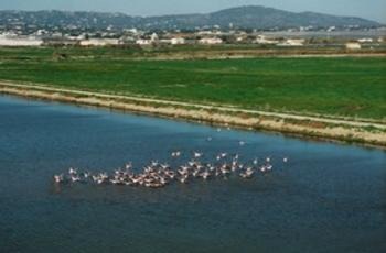 © EC - Service Audiovisuel